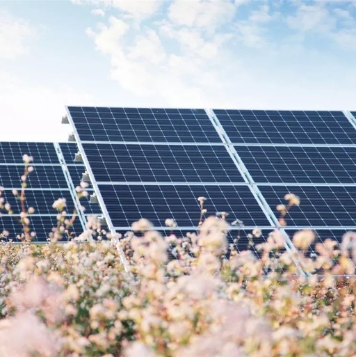 可用于發(fā)電的太陽(yáng)能染料已經(jīng)取得了進(jìn)展(圖1) 太陽(yáng)能電池板