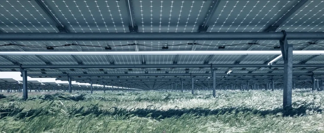 被忽視的光伏電站“隱蔽的角落”(圖1) 全國光伏前十排名